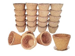 Natural Indian Sambrani Havan Cups with Desi <b>Cow</b> Dung 31.5x27mm Organic Shelf Life Loose Pack for Pooja & Temple Use - Product Image 3