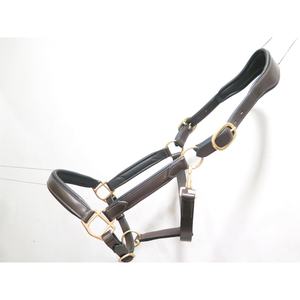 Cabestro de Cuero Acolchado Premium FAB International con Herrajes de Latón, Ajustable, para Equitación, Tamaño y Color Personalizables - Product Image 1