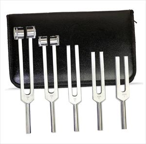 สินค้ามาใหม่ ชุดส้อมเสียง 5 ชิ้น พร้อมไม้ตียาง C128 ถึง C2048 อลูมิเนียมเกรดทางการแพทย์ คุณภาพสูง - Product Image 1