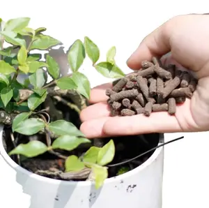 VERMI-堆肥颗粒浅棕色有机肥为耕地提供养分