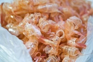 ผงเปลือกกุ้งเวียดนาม |   แหล่งแคลเซียมจากธรรมชาติ |   ส่วนผสมอาหารสัตว์แบบเป็นปริมาณมาก - Product Image 4