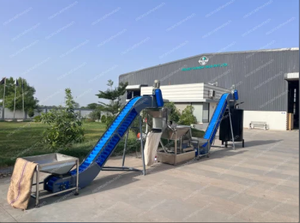 Limpiador de Polvo para Granos de Anacardo de Acero Suave de 1000 kg con 95% de Eficiencia - Product Image 3