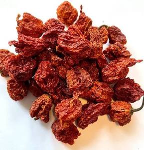 Piments entiers <span class=keywords><strong>Carolina</strong></span> <span class=keywords><strong>Reaper</strong></span> en vrac, piments séchés de qualité supérieure, piments extra forts pour épices et assaisonnements - Product Image 4