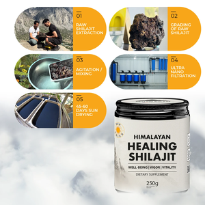 Bulk Himalayan Shilajit Resin 250g Pure Natural Shilajit Extract Gold Grade Mumio Wholesale Supply - Product Image 3