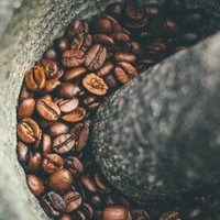 Café Robusta du Vietnam S14 en Grains Torréfiés Prêt à l'Exportation avec Emballage Personnalisé et Support de Marque Privée