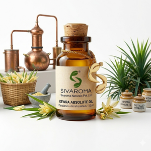 Aceite Absoluto de Kewra para el Desarrollo de Fragancias Finas, Mezclas Aromáticas, Productos de Cuidado Personal y Fabricación de Velas Perfumadas - Product Image 4