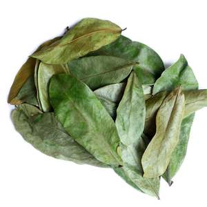 Hojas de Guanábana Vietnamita Secas al Sol de la Mejor Calidad, Puro Orgánico y Aromático, Cuidadosamente Seleccionadas, Compra al por Mayor OEM - Product Image 1