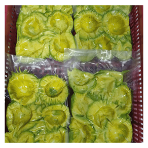 Pepitas de Aguacate Hass Congeladas IQF, Ingredientes Vegetales Verdes para Smoothies, Cadenas de Restaurantes, Cocinas de Postres y Preparación de Bebidas - Product Image 3