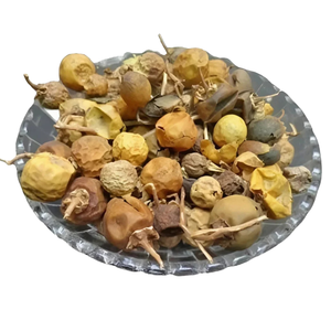 Polvo de Fruta Solanum Xanthocarpum Kateri, Fabricante Patil Foods India - Product Image 1