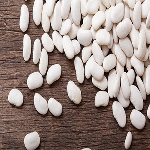 Frijoles Blancos Premium de Alta Calidad, Crudos y Secos, 100% Secos, El Ekhlas Co, de Egipto - Product Image 1