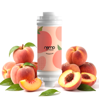 Filtre de douche en plastique NEMO à la vitamine C, fabriqué en Corée, 2 étapes, certifié RoHS, déchloration, élimination de la rouille, hydratation de la peau, usage domestique