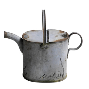 Regadera Clásica de Acero Galvanizado WHITE ROYALS con Boquilla Desmontable Tipo Rosa, Capacidad de 8L, Ecológica para Jardín y Exteriores - Product Image 6