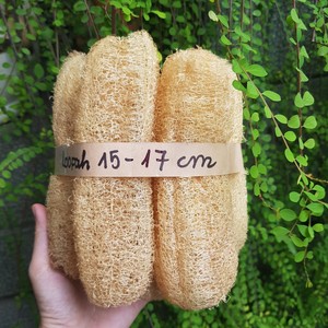 BEST PRICE 100% <b>NATURAL</b> RAW LOOFAH <b>SPONGE</b> BRUSH for BODY EXFOLIATING VIETNAM VIETDELTA Whole Sales - Product Image 4