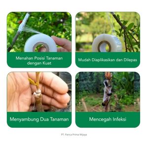 เทปพันกิ่งแบบใสยืดหยุ่น 3 ซม. x 10 ม. เทปพันกิ่งต้นไม้แบบมีกาวในตัว - Product Image 4