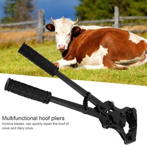 Outil de coupe de sabots de précision en acier inoxydable, équipement d'élevage pour animaux, qualité export - Product Image 5