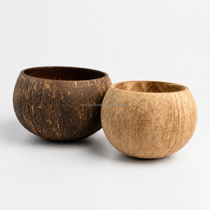 Premium Coconut Shell Bowls with Spoon Set Custom Engraving Wholesale Factory Direct from Vietnam - Product Image 2