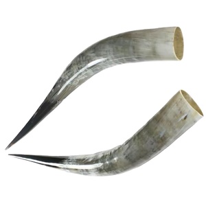 เขาสัตว์แกะสลักลายธีมไวกิ้งสั่งทำพิเศษ เหมาะสำหรับร้านขายสินค้าสไตล์ยุคกลาง เหมาะสำหรับขายต่อ - Product Image 1