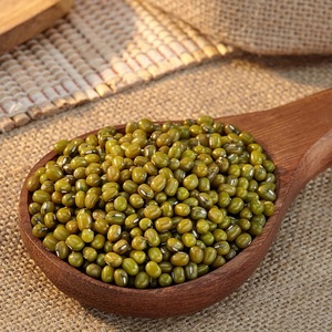 Sabut Moong Séché Conventionnel de Qualité Supérieure pour la Production de Dal, Curry et Sprouts – Prix de Gros en Vrac Directement d'Inde - Product Image 6