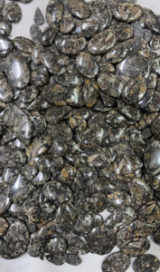 LOT EN GROS DE 5 KG UNIQUEMENT À 755 $ - CABOCHONS DE FOSILES DE TURRITELLA, PIERRES PRÉCIEUSES SÉLÉQUIES, TAILLES ET FORMES ASSORTIES, LIVRAISON GRATUITE - Product Image 6