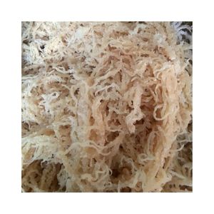 Alga Marina Cottonii Seca de Alta Calidad, Eucheuma Cottonii para Carragenano de Grado Alimenticio, Vietnam, a Granel, 24 Meses de Vida Útil, Suministro para Exportación - Product Image 1
