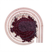 COOLENT Poudre et liquide colorants rose pH 6-8 Humidité 2-3% Chlorure 0,2% Max. Rose Magenta Anmol Colorants pour encre/peinture/textile