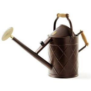 Arrosoir en métal brun rustique pour plantes d'intérieur, outil de jardinage à long bec avec poignées en bois, pot à eau décoratif vintage - Product Image 1