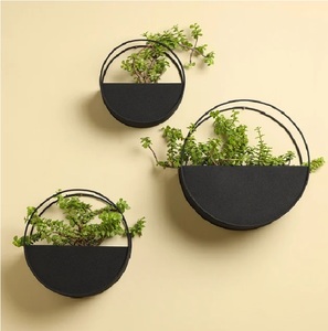 Maceta Colgante de Pared Galvanizada de Alta Calidad, Ecológica, para Decoración de Interiores, Diseño Elegante, para Escritorio - Product Image 2