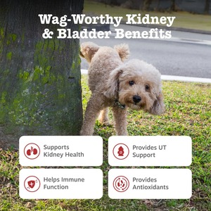 Masticables Herbales de Arándano D-Mannosa de Marca Privada para Perros y Gatos, Salud del Tracto Urinario, Apoyo de la Vejiga, Cuidado Inmunológico, Suministros Orgánicos para Mascotas - Product Image 5