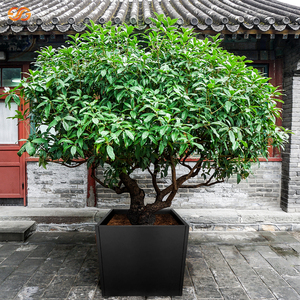 Jardinera Cuadrada de Acero Negro de 26 Pulgadas, Moderna, Duradera, Resistente a la Oxidación, Ecológica y Ligera, Estilo Americano para Hotel - Product Image 1