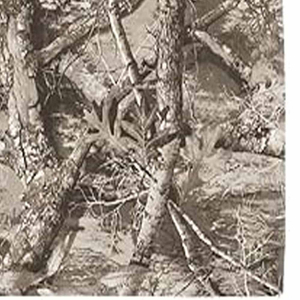 <b>Men</b> T Shirts <b>Dressed</b> Collar Breathable Full Sleeve Summer <b>Men</b> T Shirts Bulk Stock <b>Men</b> Clothes 100% cotton - Product Image 4