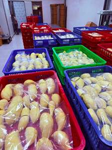 Pulpa de Durian Congelada IQF Premium de Vietnam, Suministro a Granel con Marca Privada OEM - Product Image 1