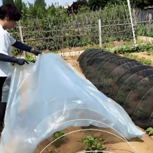 Tiges de soutien en fibre de verre de qualité supérieure pour l'agriculture en serre, piquets pour plantes de tomates - Product Image 5