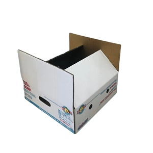 Custom Logo Folding Corrugated Paper Box Recycled Materials Fresh Coconut Rectangle Slotted UV Advantage Shipping Flexographic - Product Image 6