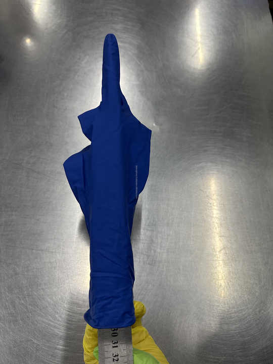 Healthease Glove Examination High Risk Powder Free ER Large 50 main image 0