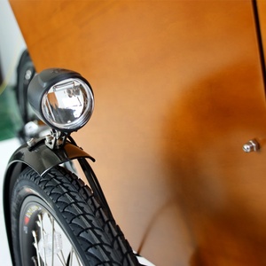 Bicicleta Eléctrica de Carga de 3 Ruedas con Motor Central DAPU de 250w, Estilo Europeo, <span class=keywords><strong>Nueva</strong></span> Llegada, <span class=keywords><strong>Trimoto</strong></span> Eléctrica para Carga Familiar - Product Image 6