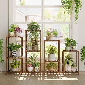Pine Wood Tiered Wall Hanging Plant Stand Succulent Display <b>Planter</b> Wholesale India - Product Image 1