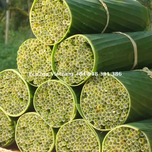 หลอดดูดแบบใช้แล้วทิ้งที่ผ่านการรับรอง Eco2go เวียดนามสำหรับร้านกาแฟและใช้ในบ้าน - Product Image 2