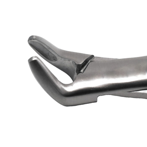 Forceps d'extraction dentaire professionnels en acier inoxydable, pinces d'orthodontie pour l'élimination des dents - Product Image 5