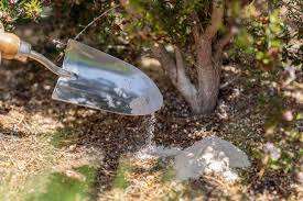 Harina de Hueso de Primera Calidad Terra Bio Grado A, Proteína en Polvo para Alimentación Animal, Cerdos, Ganado, Peces, Caballos, Fabricante y Exportador de India - Product Image 6