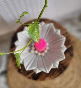 ชิ้นงานหินอ่อนสุดหรูสำหรับเสิร์ฟอาหาร ผลิตด้วยมือ 100% สะท้อนความเป็นงานศิลป์เหนือกาลเวลาและความหรูหราที่ประณีต ออกแบบมาเพื่อบ้านยุคใหม่ - Product Image 2