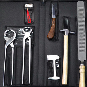 Kit de fermeur professionnel haute performance, outils de coupe de pointe. Le kit de fermeur comprend tous les instruments de sablage et de soin des sabots. - Product Image 6
