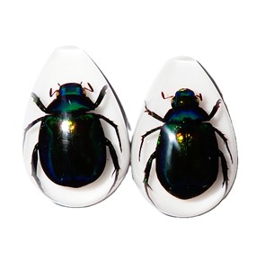 Colorful Scarab Beetle Real Specimen Plastic Cabochon Pear Cut <b>Top</b> 33x22 mm White Flat Bottom for Crafts and Jewelry Making - Product Image 3