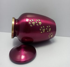 Custom Color Metal Adult Burial Pet Cremation Urn with Paw Print <b>Ashes</b> <b>Keepsake</b> Customizable Design Memorial Decoration - Product Image 3