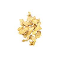 Poudre de gingembre naturelle en vrac, emballage en vrac, OEM ODM disponible