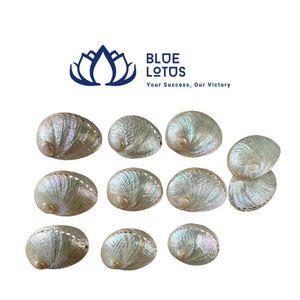 เปลือกหอยปูเสฉวนคุณภาพสูง เป็นมิตรกับสิ่งแวดล้อม สีเหลือง ขาว เขียว เงิน สำหรับงานขายส่ง งานฝีมือ ของตกแต่ง ประเทศเวียดนาม - Product Image 1