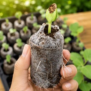 100% Natural Coco <b>Peat</b> Pellets for Seed Starting Biodegradable Coir Jiffy Growing Media - Product Image 6