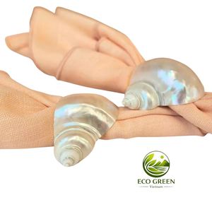 Juego de Servilleteros de Conchas Marinas Exóticas con Acabado de Perla Pulida, Estilo Costero, Decoración para Comedor - Vajilla Sostenible de Conchas Marinas - Product Image 3