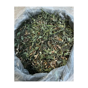 ชาดอกแดนดิไลออนธรรมชาติ ปราศจากคาเฟอีน บรรจุถุงชา รับผลิตแบบ OEM แบรนด์ส่วนตัว จำหน่ายส่งจากเวียดนาม - Product Image 5