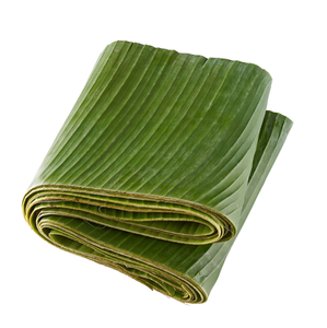 Mejor Precio Hoja de Plátano Natural Verde Marca GMG de Vietnam para Mayoristas - Product Image 6