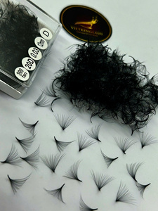 Extensions de cils en éventail préfabriqués volume noir mat, base pointue, 20D 0.03/0.07/0.1mm, éventails lâches pour extensions de cils - Product Image 1